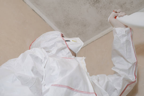 Best Mold Testing  in Spinnerstown, PA